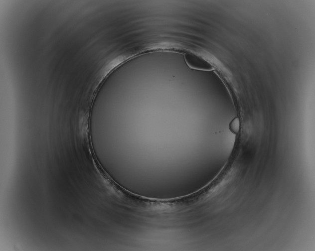 X0000088180945200705221639