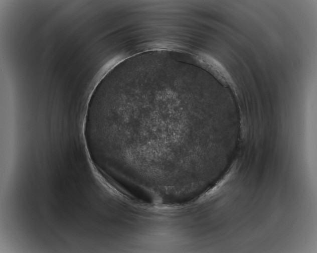 X0000088180946200705221639