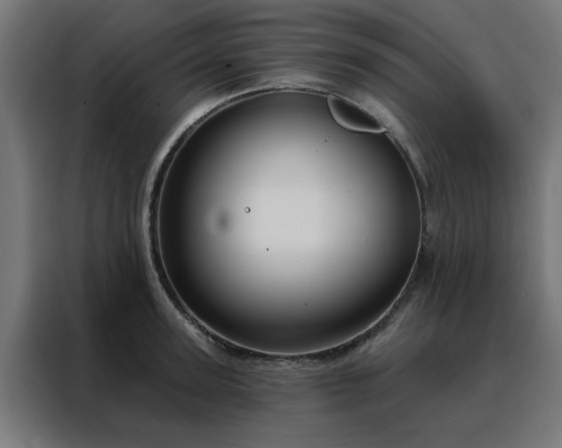 X0000088180947200705221639
