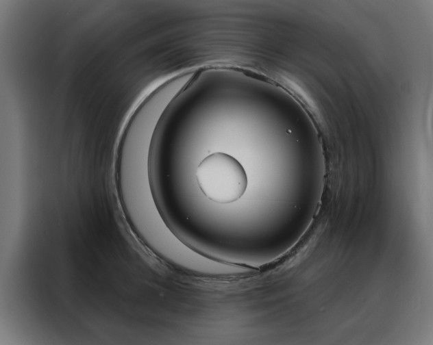 X0000088180948200705221639