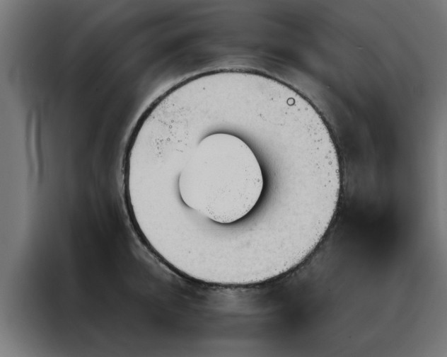 X0000088180950200705221639