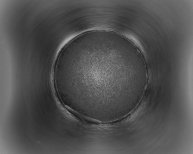 X0000088180952200705221639