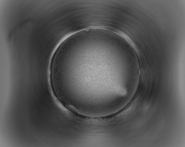 X0000088180955200705221639