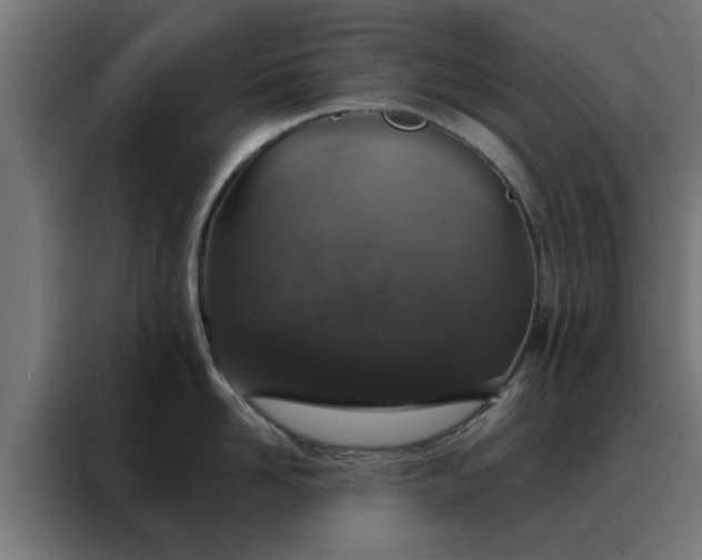 X0000088180958200705221640
