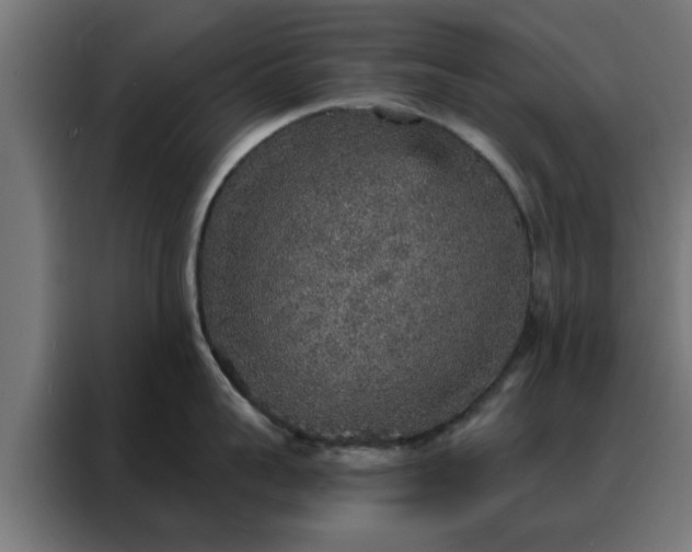 X0000088180959200705221640