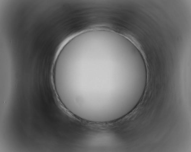 X0000088180960200705221640