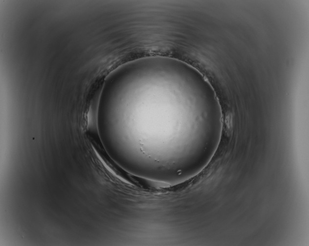 X0000088180963200705221639