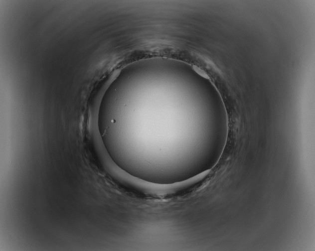 X0000088180965200705221639