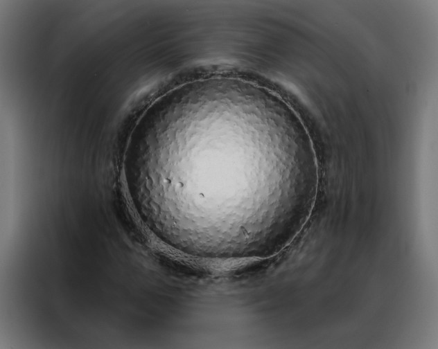 X0000088180967200705221639