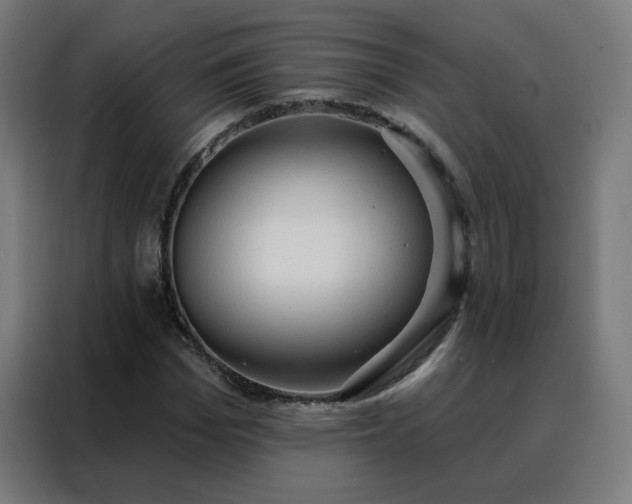 X0000088180969200705221639