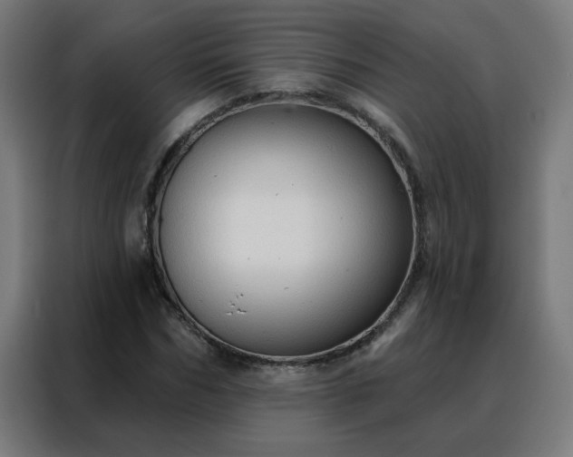 X0000088180970200705221639