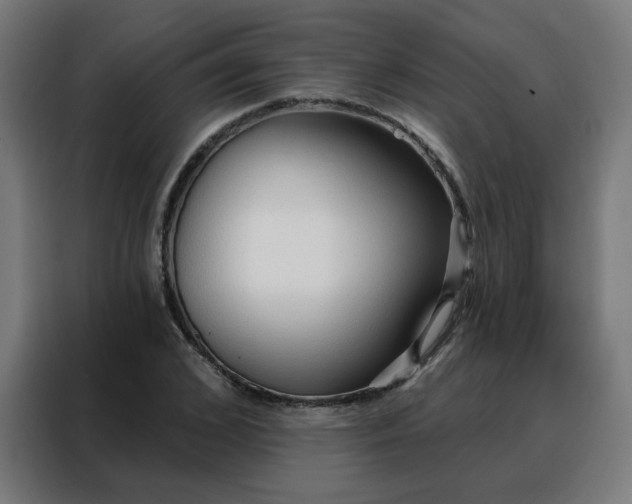 X0000088180976200705221639