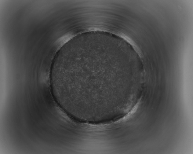 X0000088180977200705221639