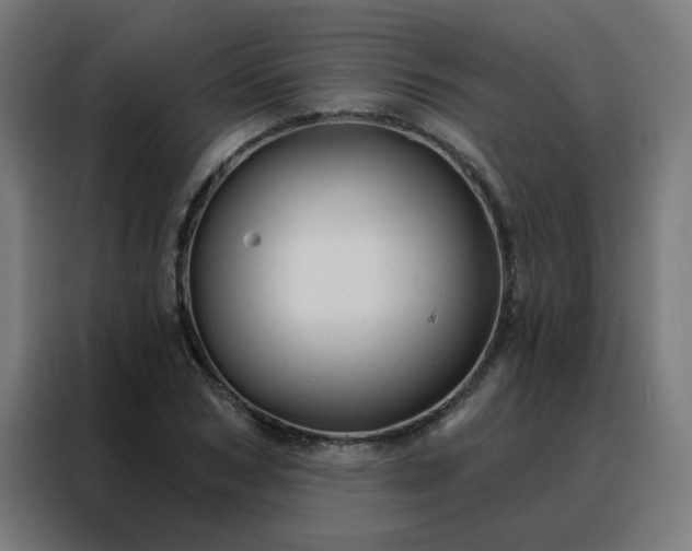 X0000088180978200705221639