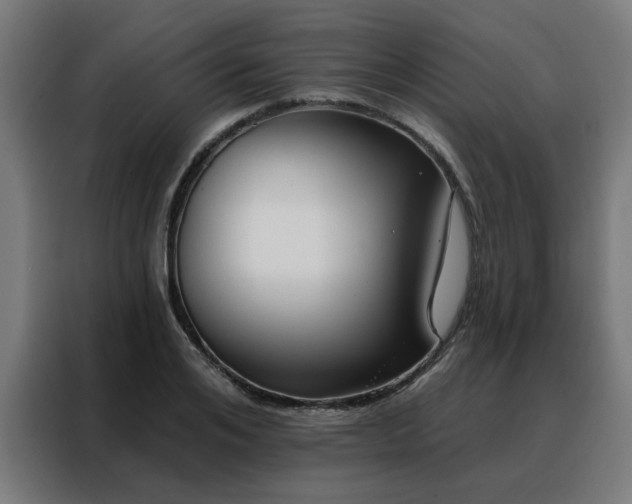 X0000088180984200705221638