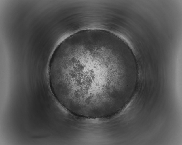 X0000088180990200705221638