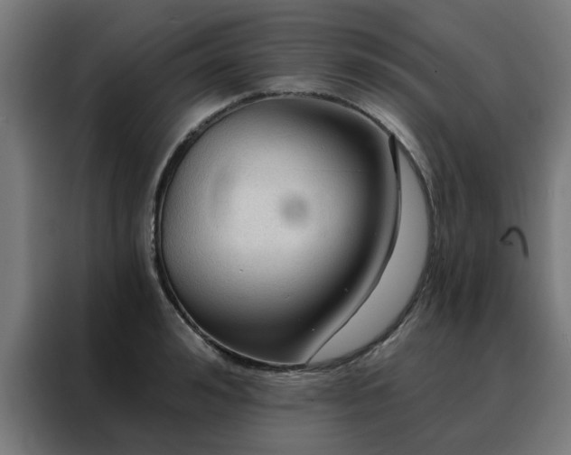 X0000088180992200705221638