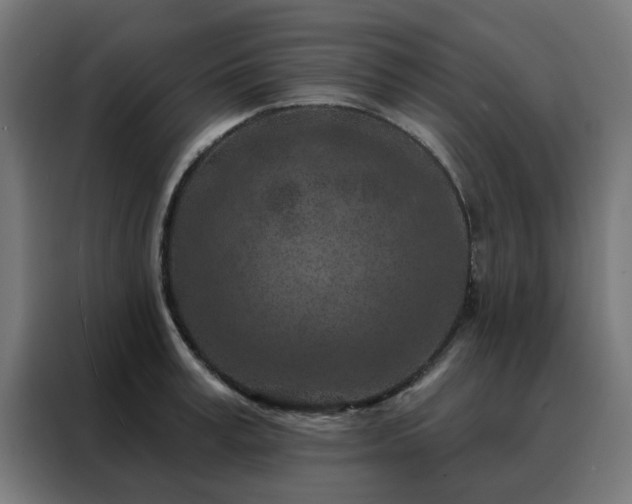 X0000088180995200705221638