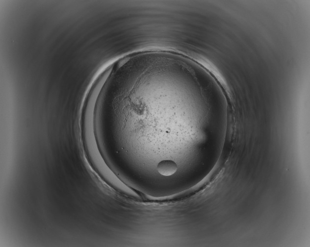 X0000088180996200705221638
