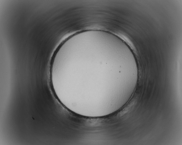 X0000088181000200705221638