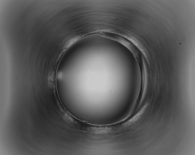 X0000088181001200705221638