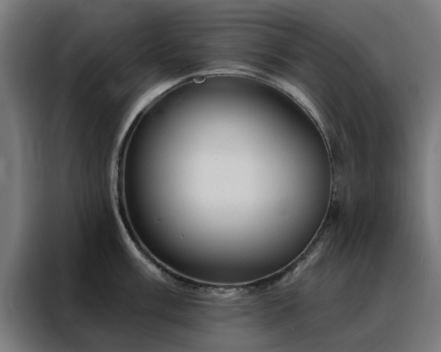 X0000088181003200705221638
