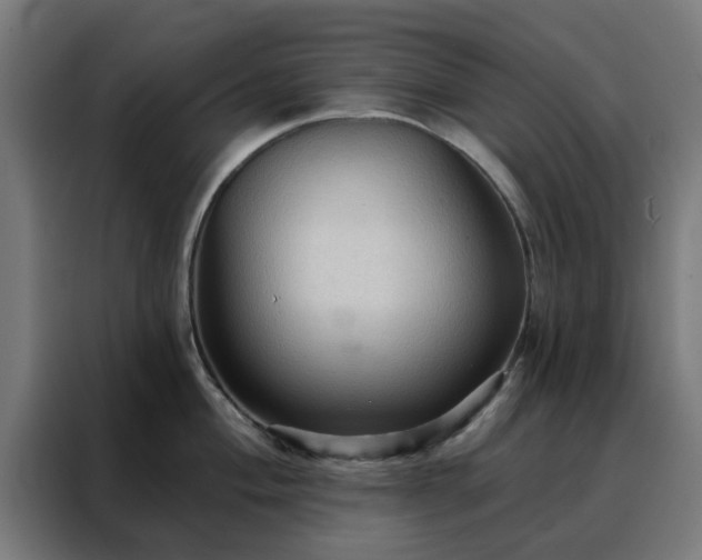 X0000088181004200705221638