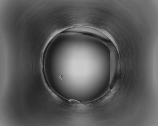 X0000088181005200705221638