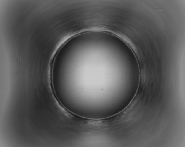 X0000088181006200705221638