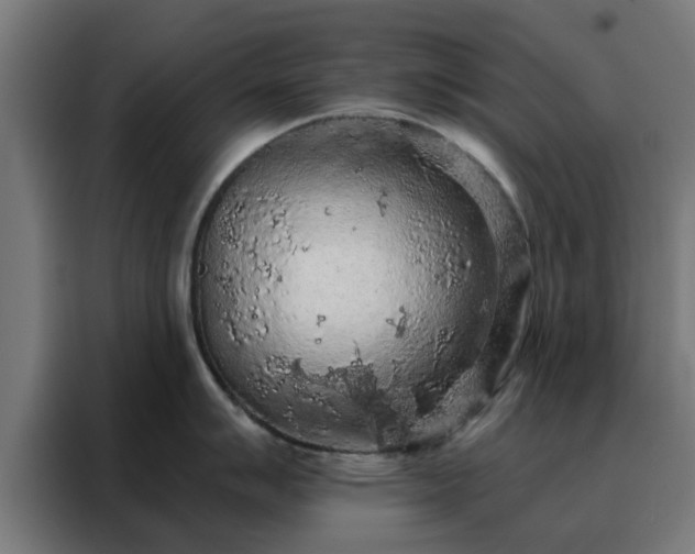 X0000088181007200705221638