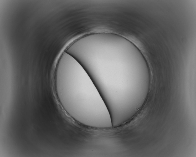 X0000088181008200705221638