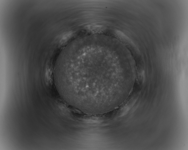 X0000088181010200705221638