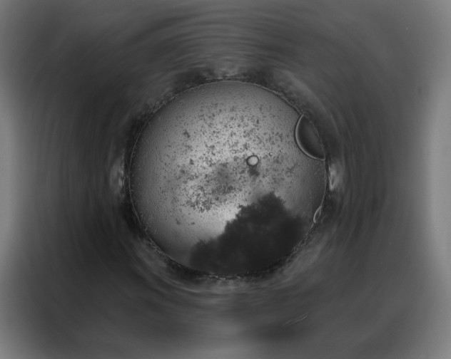 X0000088181011200705221638