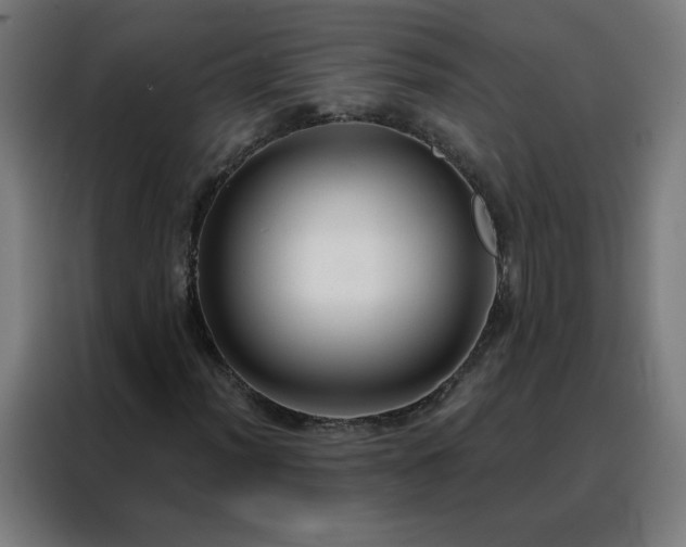 X0000088181012200705221638