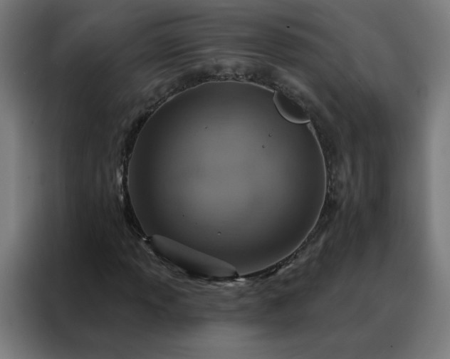 X0000088181013200705221638