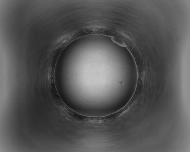 X0000088181014200705221638
