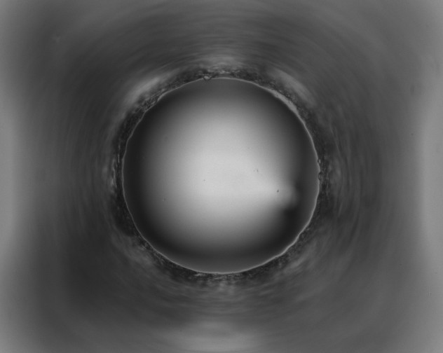 X0000088181016200705221638