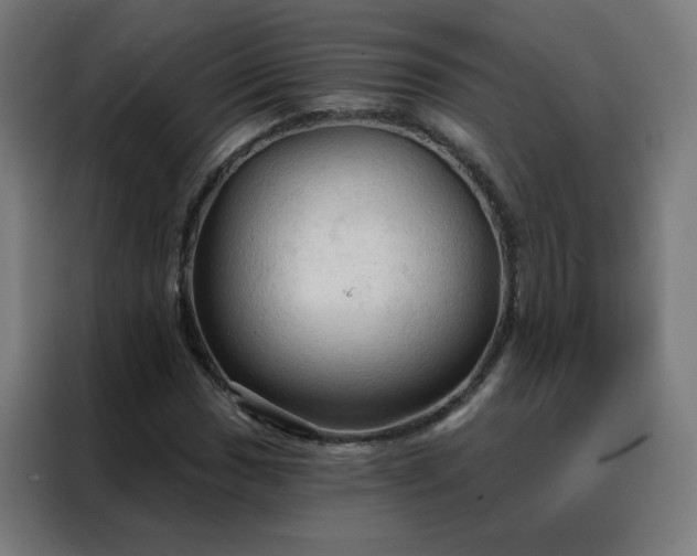 X0000088181017200705221638