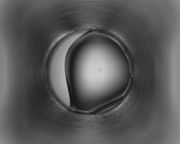 X0000088181018200705221638