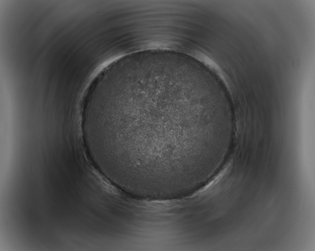 X0000088181019200705221638