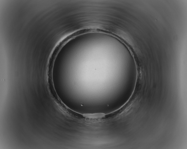 X0000088181020200705221638