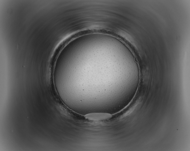 X0000088181021200705221638