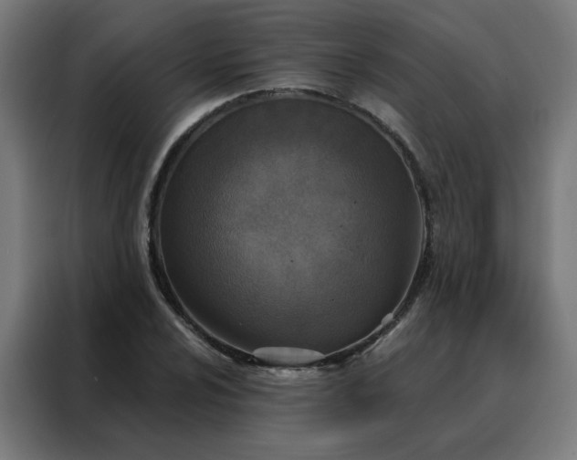 X0000088181024200705221638