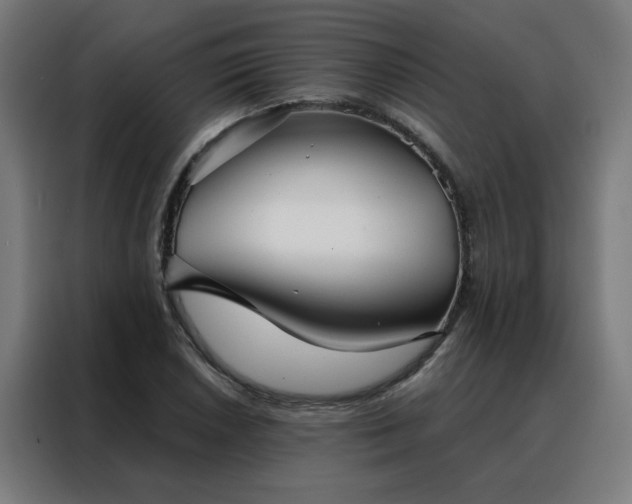 X0000088181026200705221638