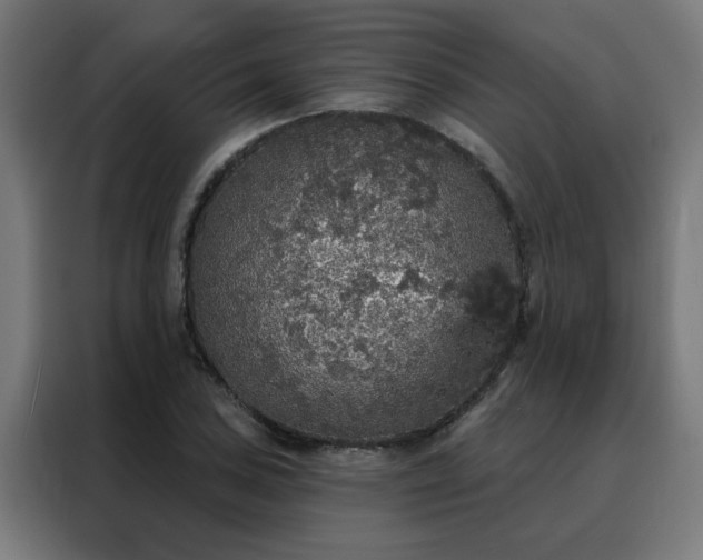X0000088181027200705221638