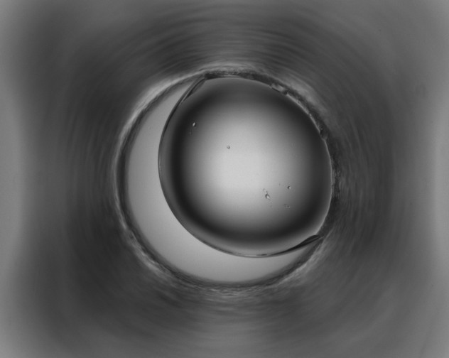 X0000088181030200705221638