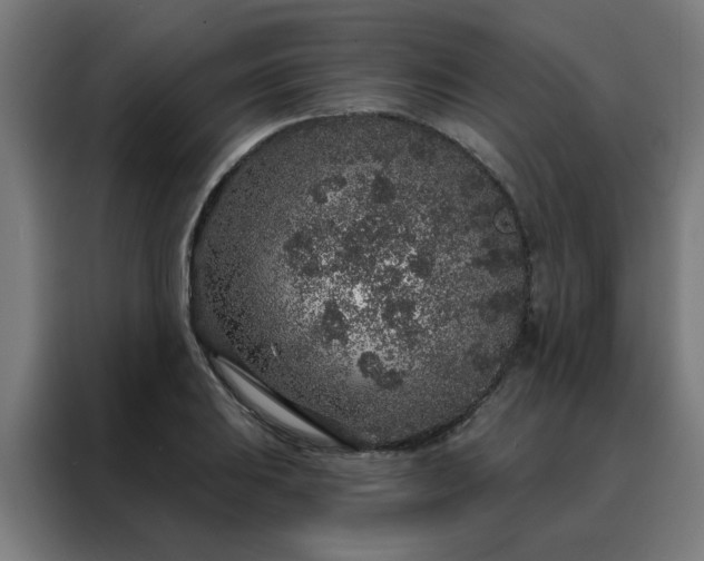 X0000088181031200705221638