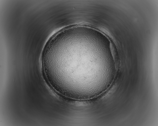 X0000088181032200705221638