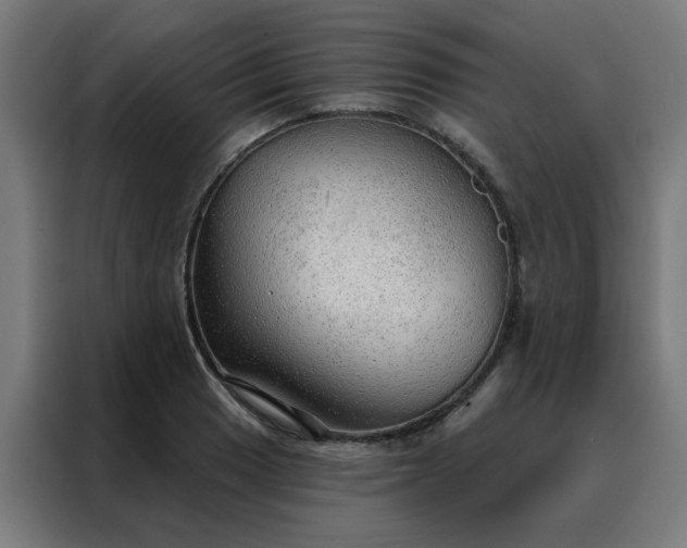 X0000088181033200705221638