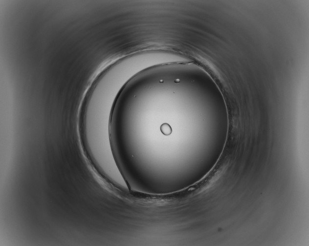 X0000088181034200705221638